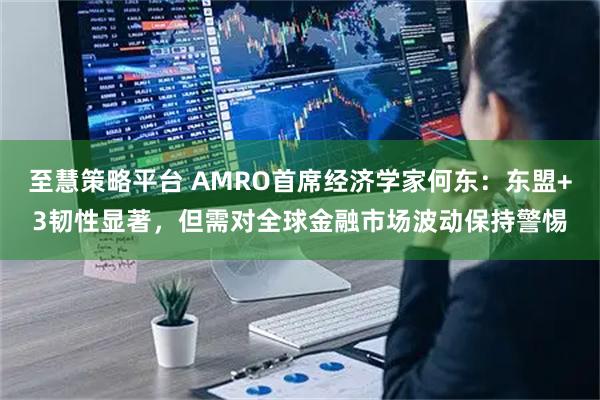 至慧策略平台 AMRO首席经济学家何东：东盟+3韧性显著，但需对全球金融市场波动保持警惕