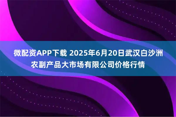 微配资APP下载 2025年6月20日武汉白沙洲农副产品大市场有限公司价格行情